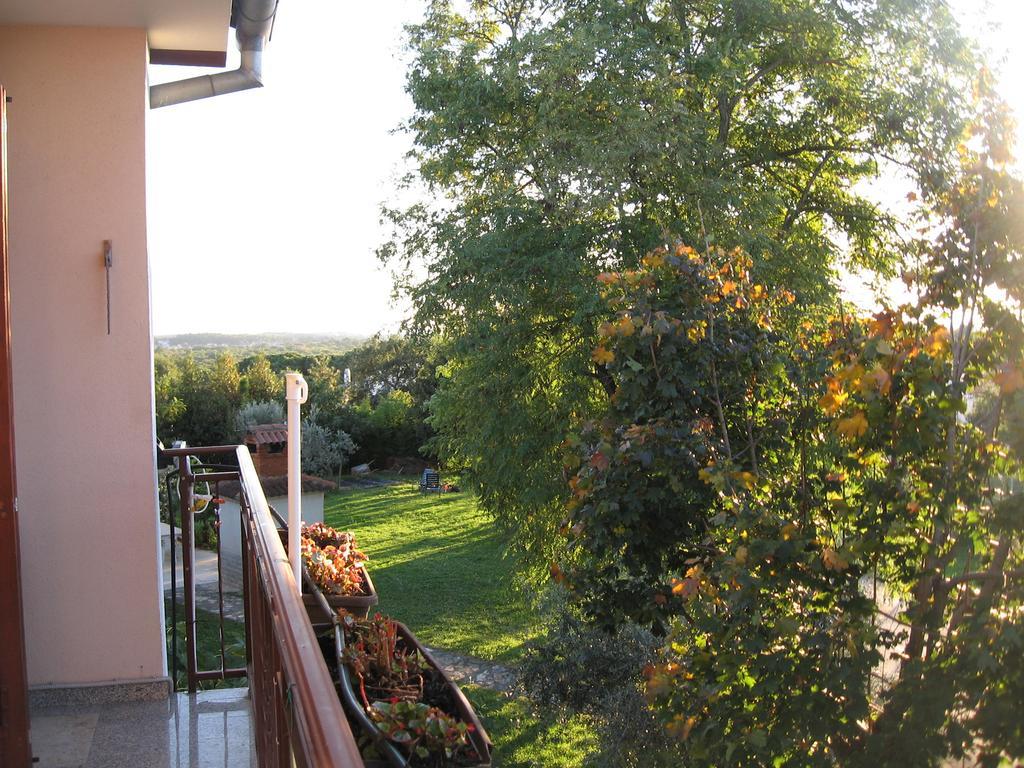 Apartments Adelita Poreč Dış mekan fotoğraf
