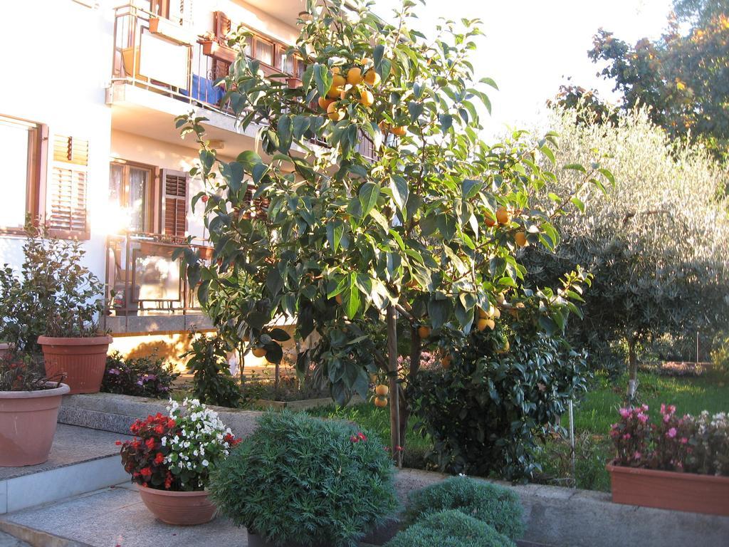 Apartments Adelita Poreč Dış mekan fotoğraf