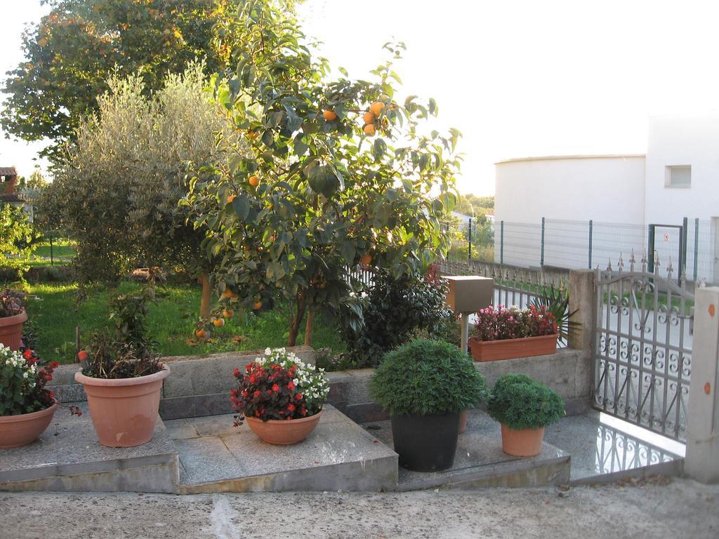Apartments Adelita Poreč Dış mekan fotoğraf