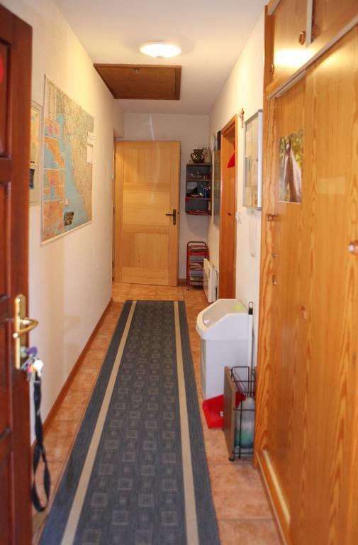 Apartments Adelita Poreč Dış mekan fotoğraf